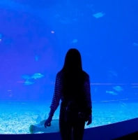 Посетитель у большого аквариума в Музее океанографии Нячанга