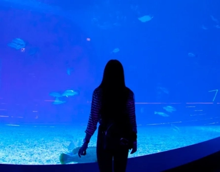 Посетитель у большого аквариума в Музее океанографии Нячанга