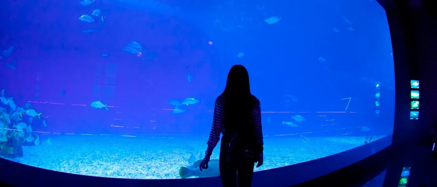 Посетитель у большого аквариума в Музее океанографии Нячанга