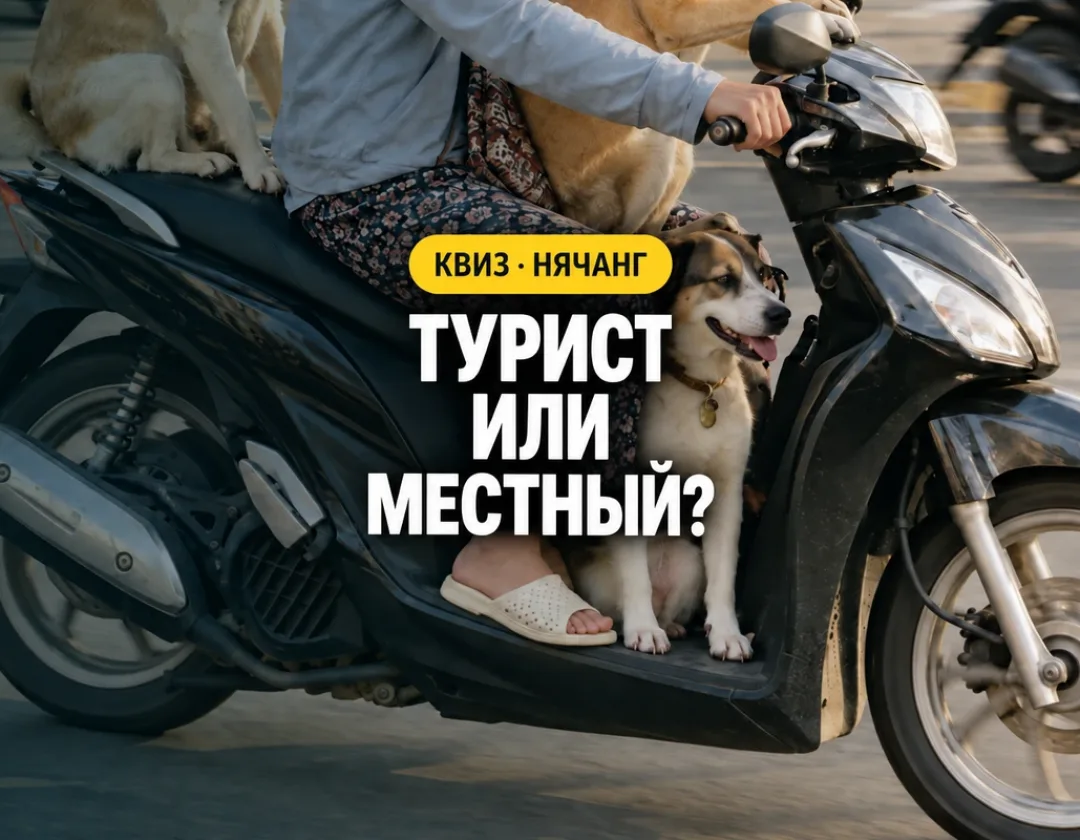 Обложка теста «Турист или местный?» с женщиной и собаками на скутере