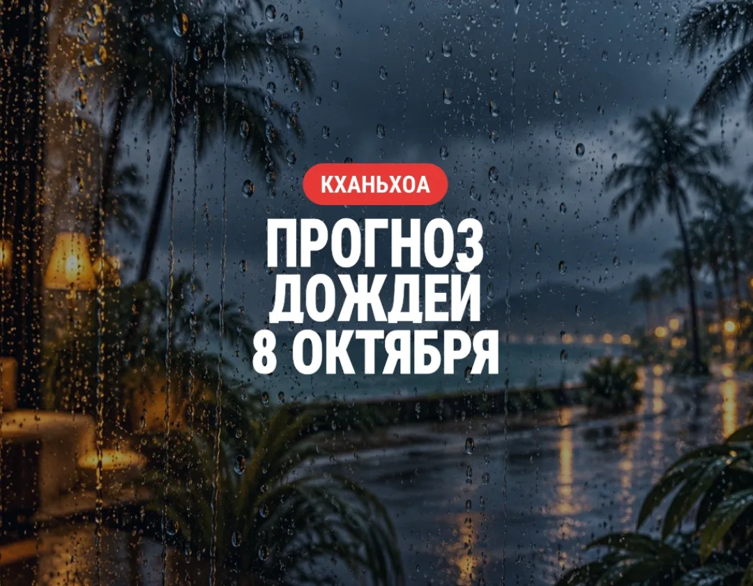 Иллюстрация: капли дождя на стекле на фоне тропической набережной с заголовком о прогнозе на 8 октября
