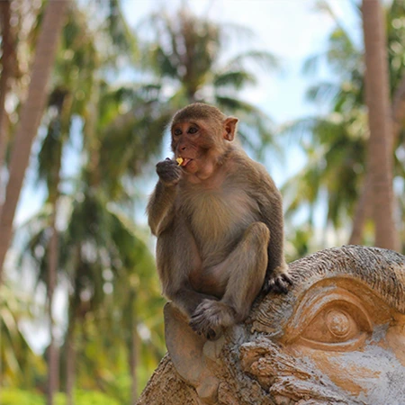 групповые и индивидуальные туры