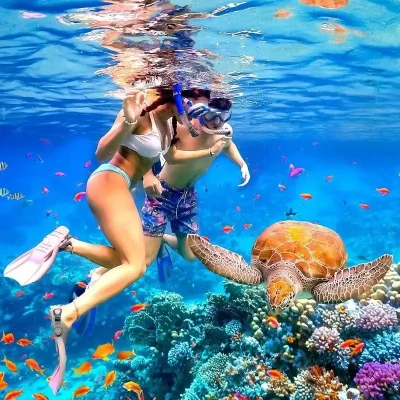 Дайвинг и снорклинг