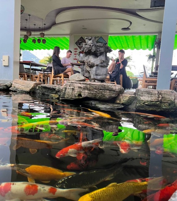 Кафе с вертолётом Koi Garden