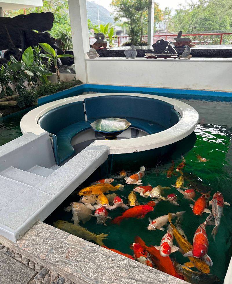 Кафе с вертолётом Koi Garden