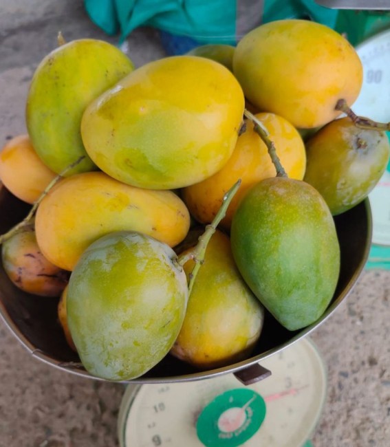 Южный рынок Cho Binh Tan (Bình Tân Market)