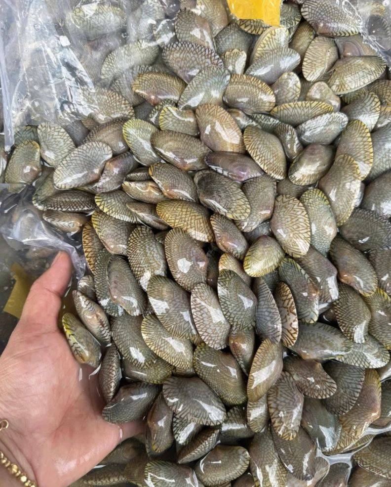 Южный рынок Cho Binh Tan (Bình Tân Market)