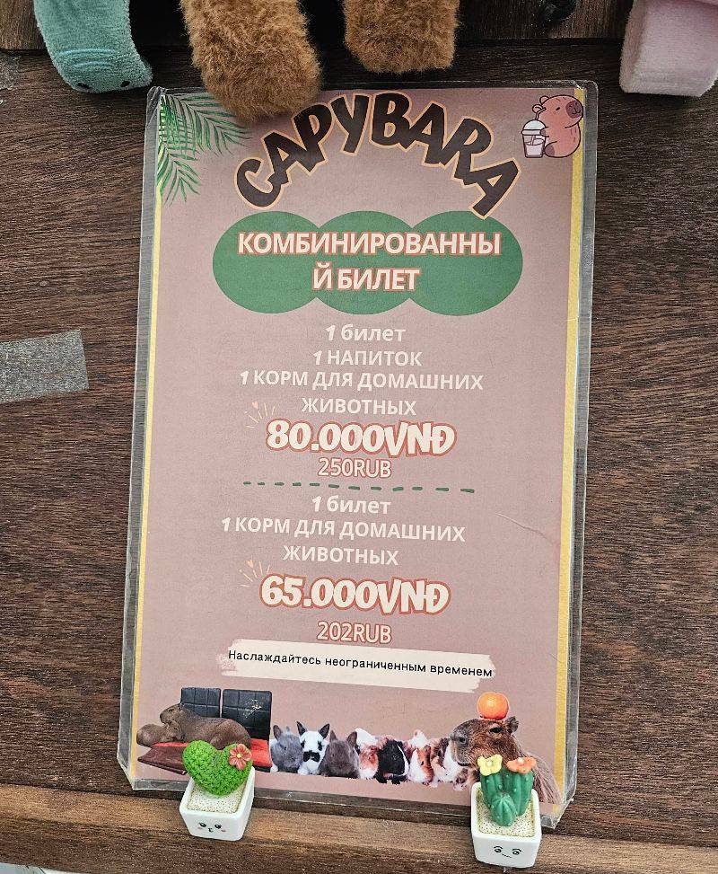 Кафе с капибарами Нячанг Capybara Coffee