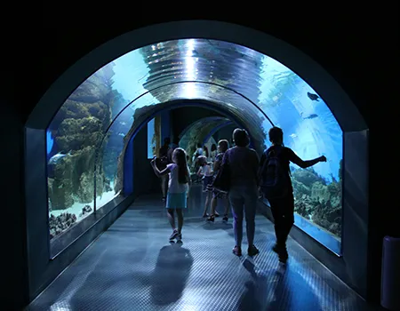 Музей океанографии