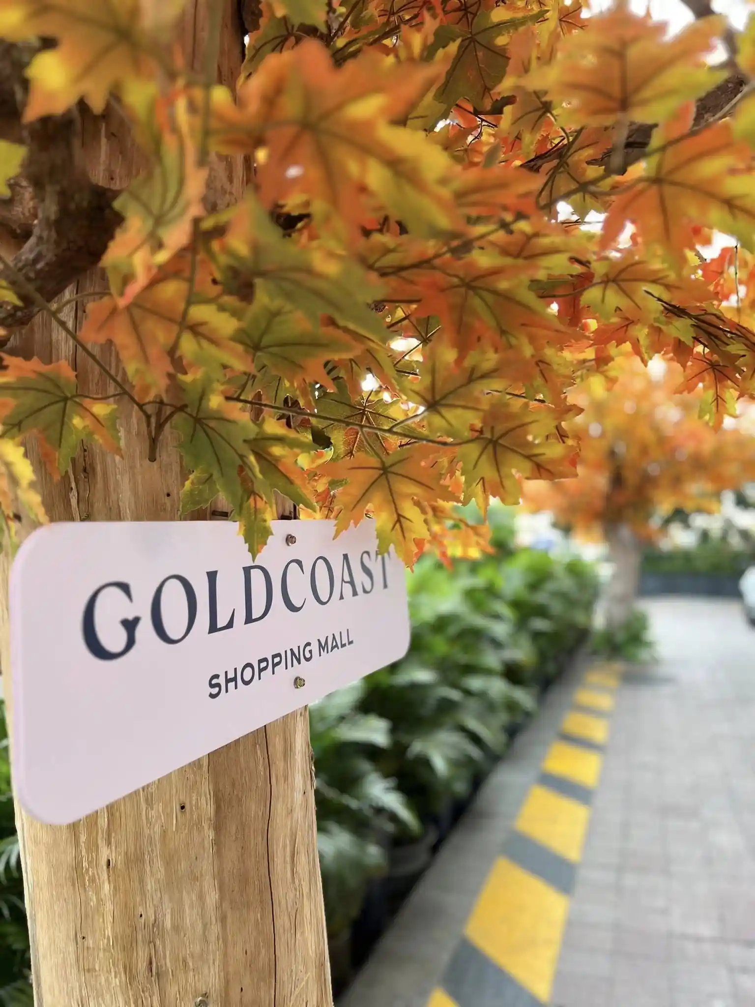 Вход в Gold Coast Mall Nha Trang